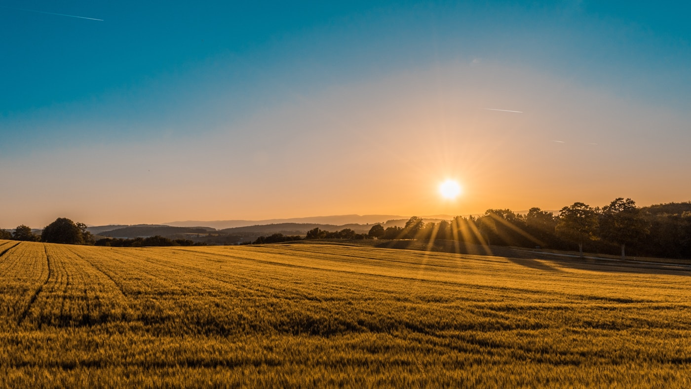 Rural Missouri-style acreage landscape